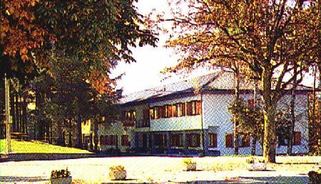 La Pineta