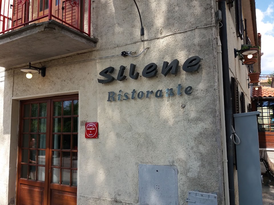 Silene