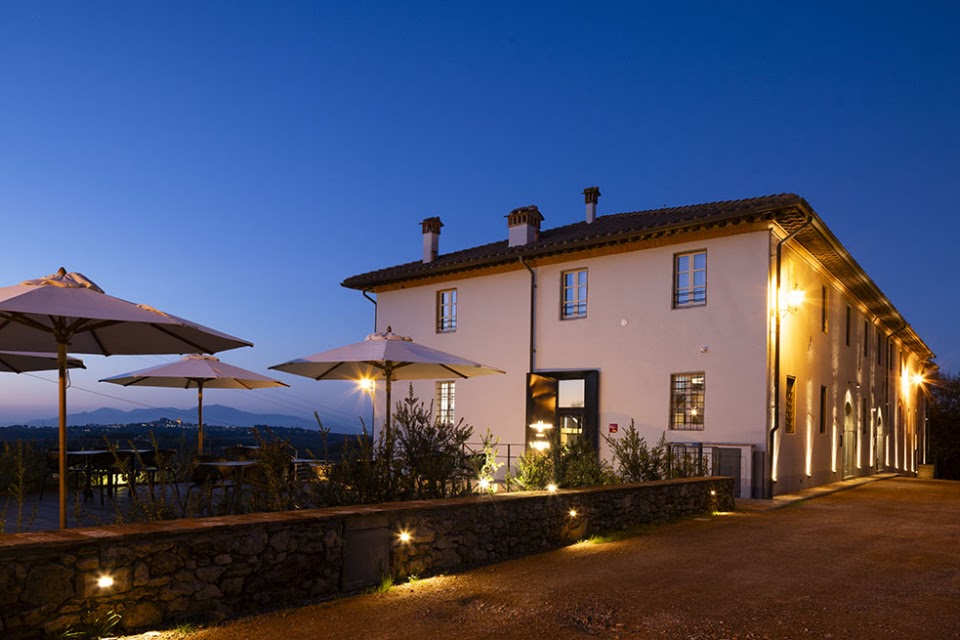 Cannavacciuolo Vineyard