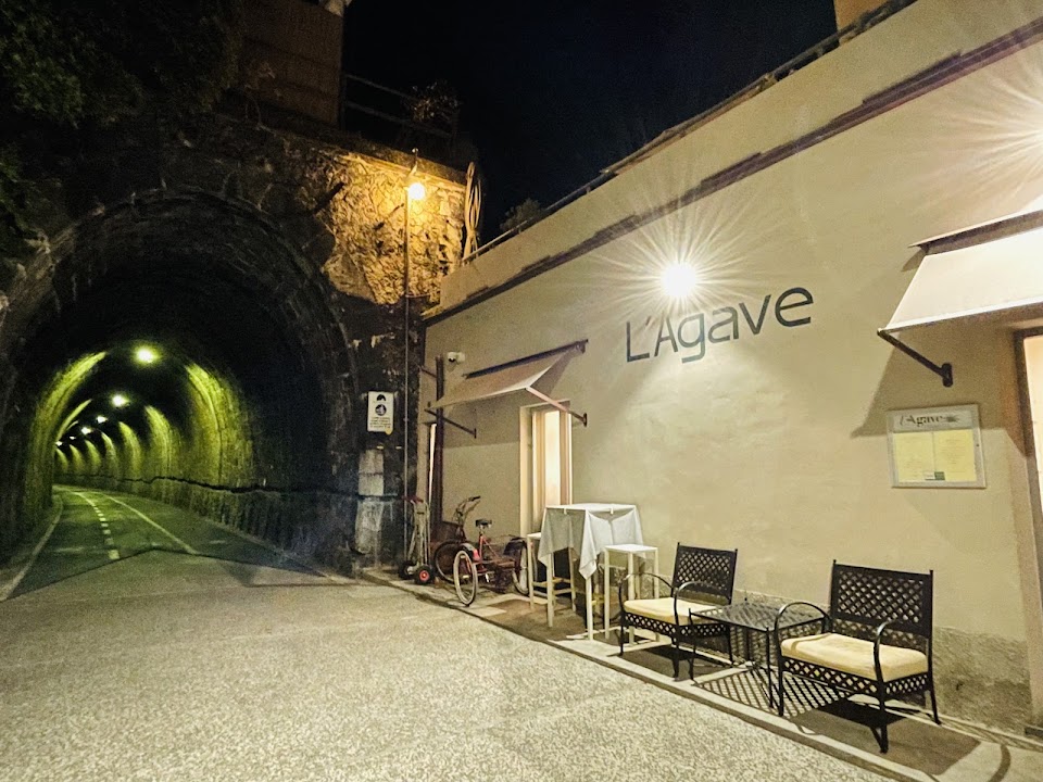 L'Agave
